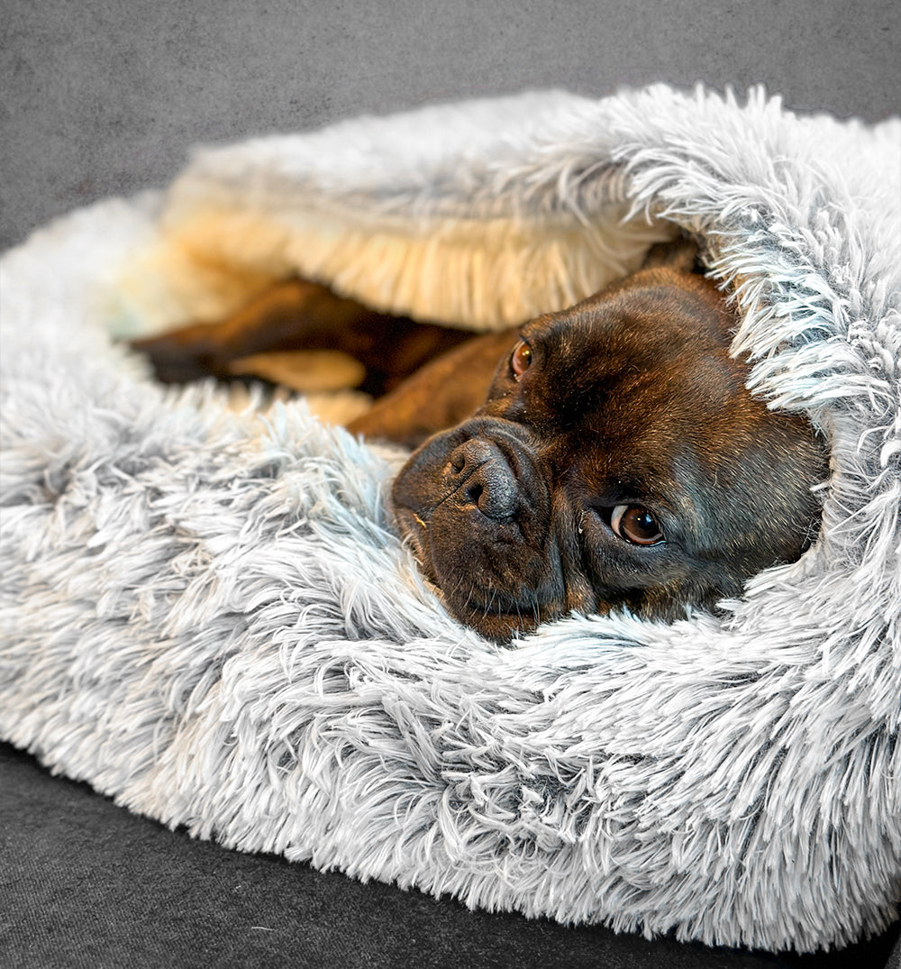 Premium Cozy Calming Cave