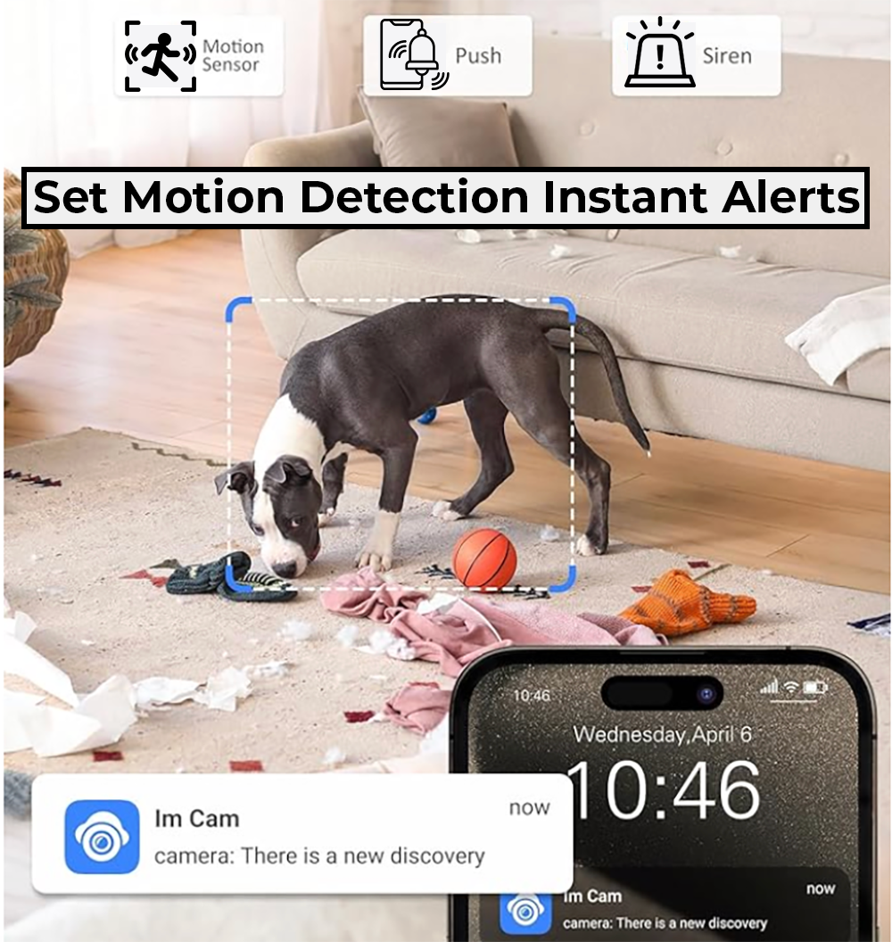 best dog monitor, top dog cameras, best dog cameras for home