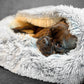 Premium Cozy Calming Cave
