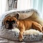Premium Cozy Calming Cave