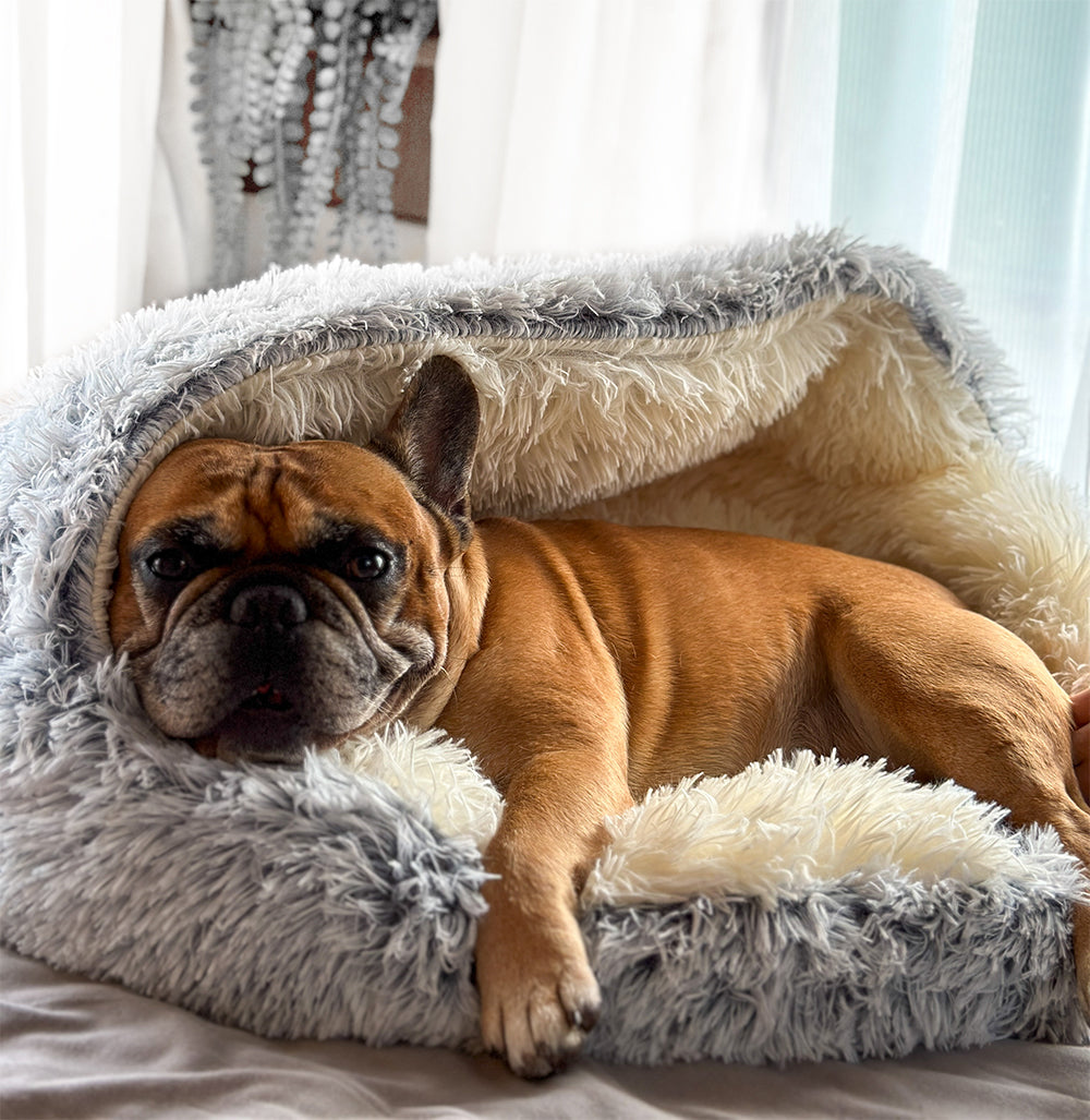 Premium Cozy Calming Cave