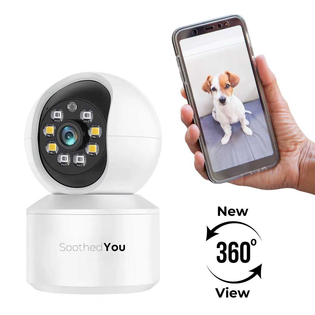 dog camera, dog and camera, best dog camera